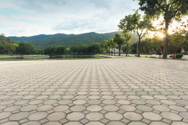 Best Professional Driveway Pavers  in Pontiac, IL